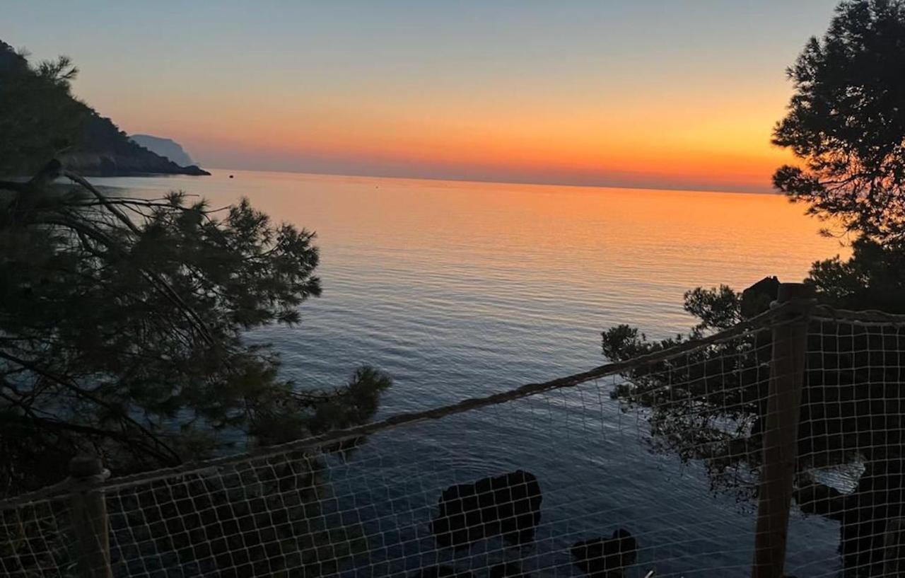 Villa Banyalbufar Zewnętrze zdjęcie